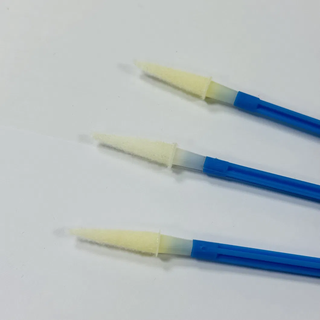 Gynecological Sampling Swab 2