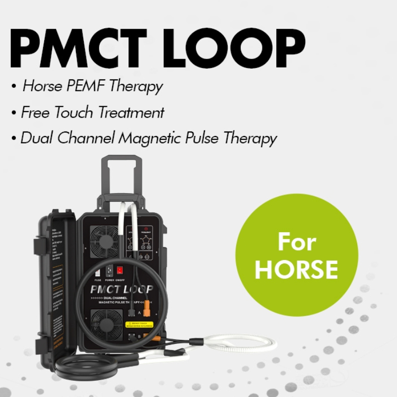 Noninvasive Pulsed Magnetic Therapy System for Blood Circulation and Tissue Repair