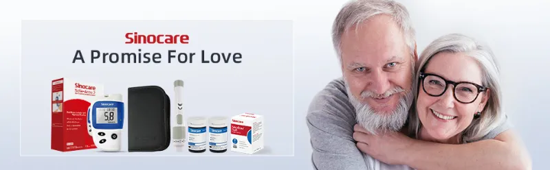 Glucose Meter Overview