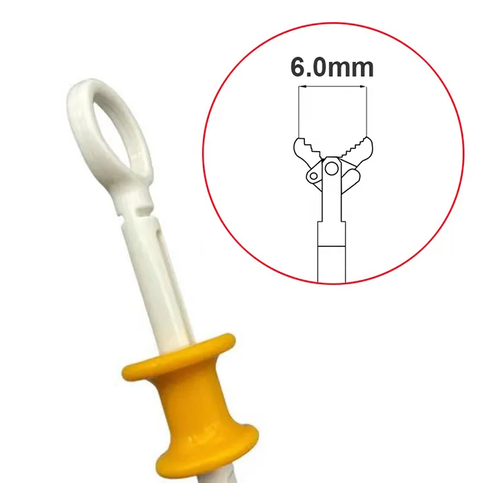 Disposable Biopsy Forceps 4