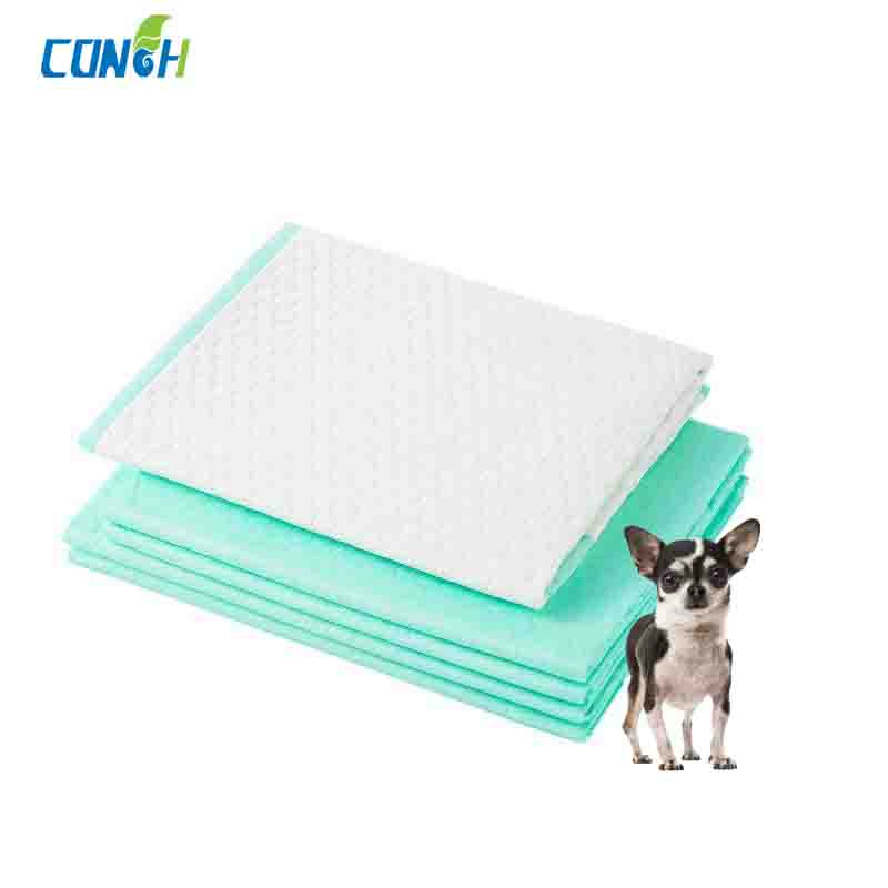 OEM Manufacturer Prevent Dirtying Dry Non-Woven Pet Training Underpad Wholesale Sanitary Products