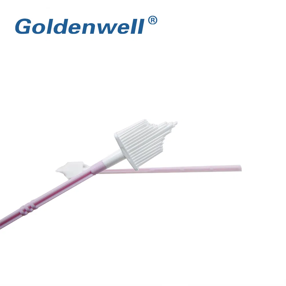 Medical Gynecological Diagnostic Test Swab Cervical Brush for Women Examination