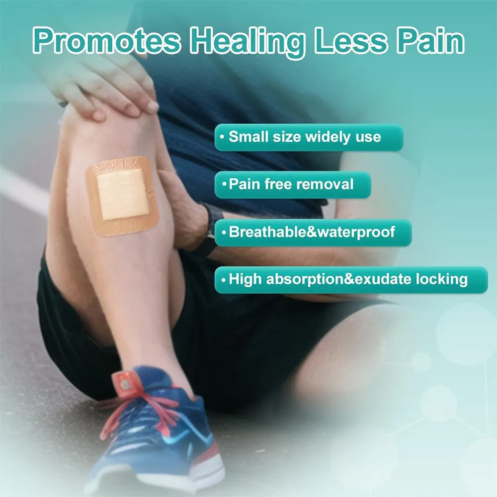 Wound Dressing Parameter 8