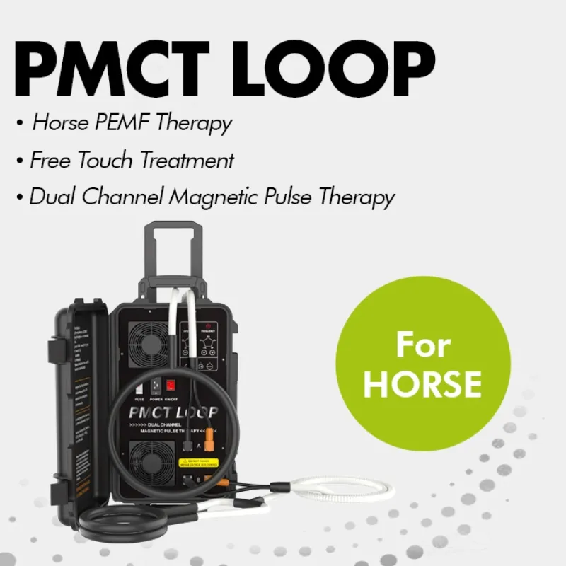 Magnetic Therapy System