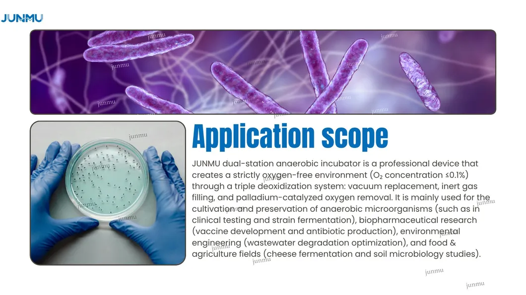 Scope of Application