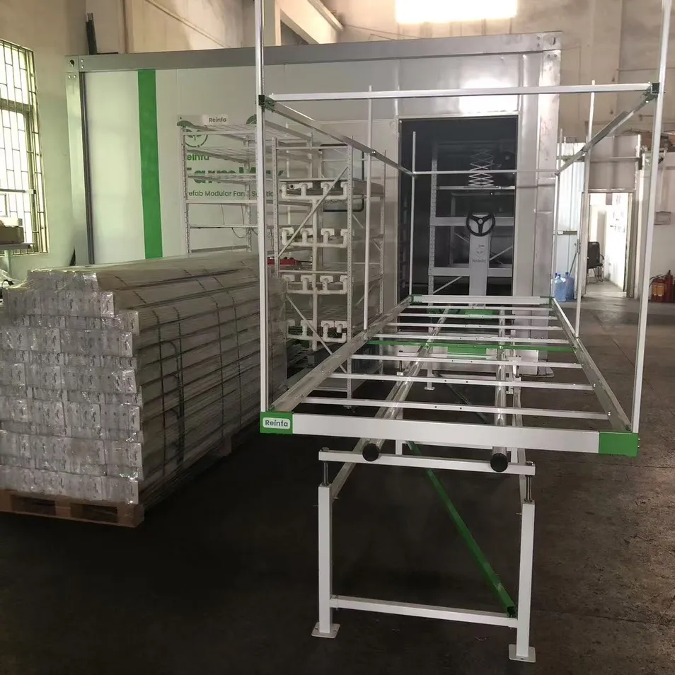 Real Product Display 4