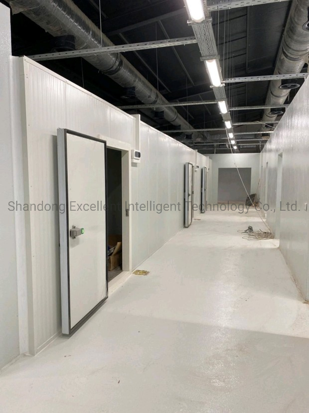 Kitchen Equipment Cold Room Storage, Modular Cooler for Fish