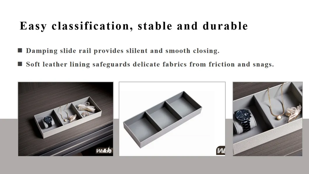 Wardrobe Storage System 5