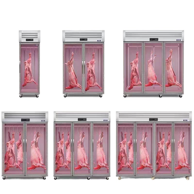 Professional Beef Aging Chamber for Gourmet Culinary Experiences