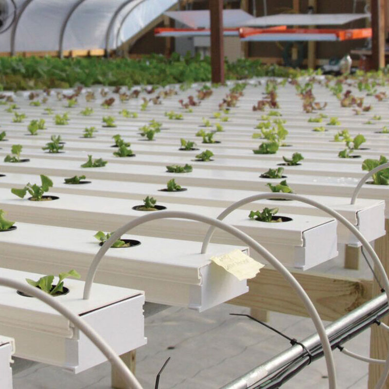 Agg Large 3 Tier 5 Tier PVC Strawberry Soilless Cultivation Plant Shelf Trough Hydroponic Nft Gully Growing System