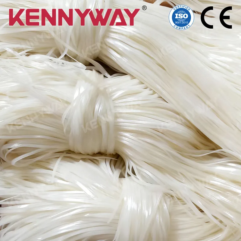 Rice Noodle Technology