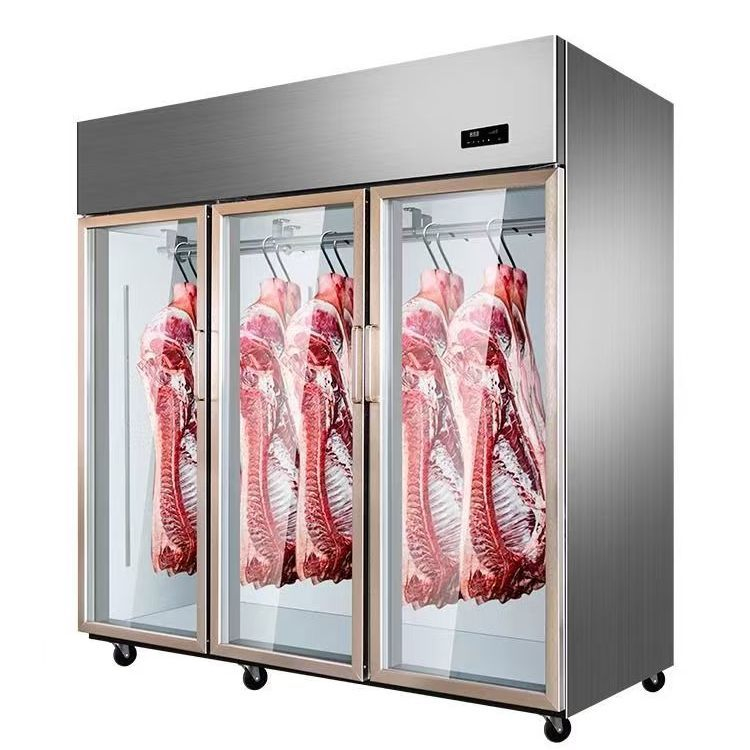 Professional Beef Aging Chamber for Gourmet Culinary Experiences