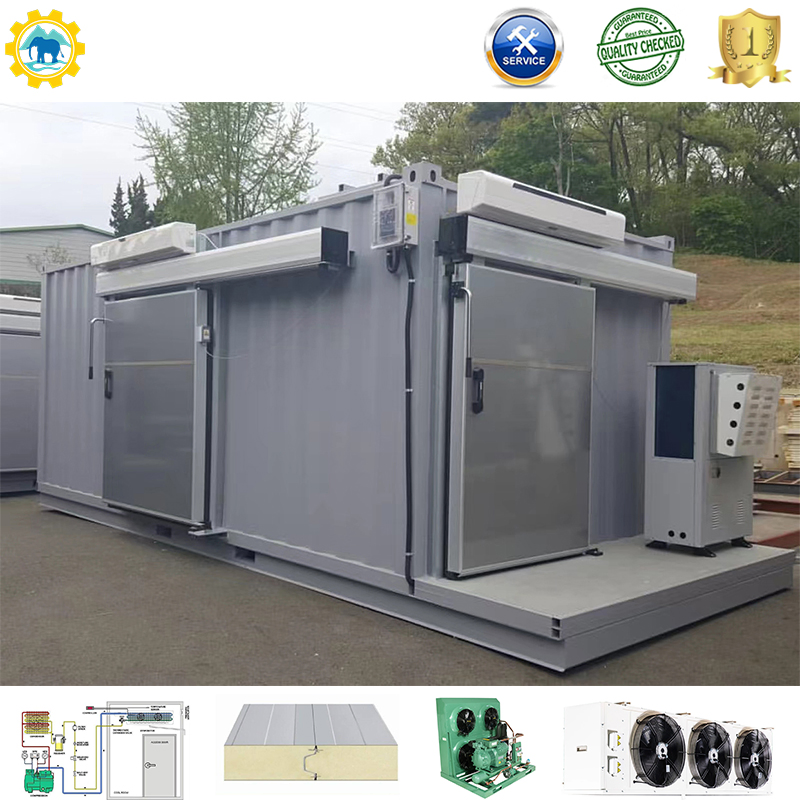 Cold Room Coldroom Retail Spice Container Retail Spice Container Freezerrooms Cold Storage