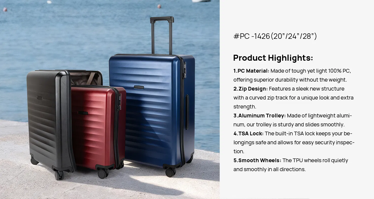 Smart Travel Bag Details 1