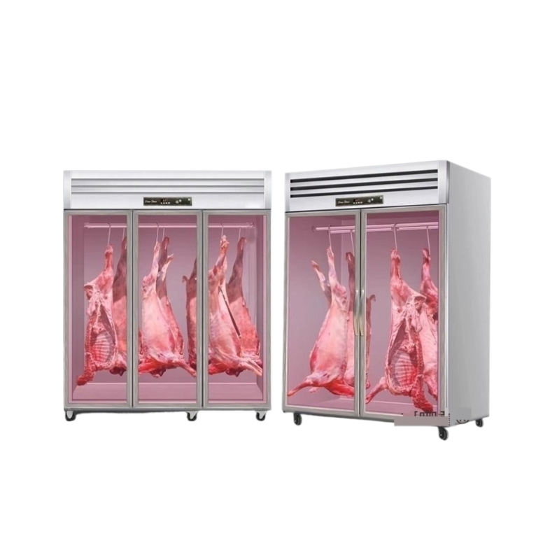 Professional Beef Aging Chamber for Gourmet Culinary Experiences