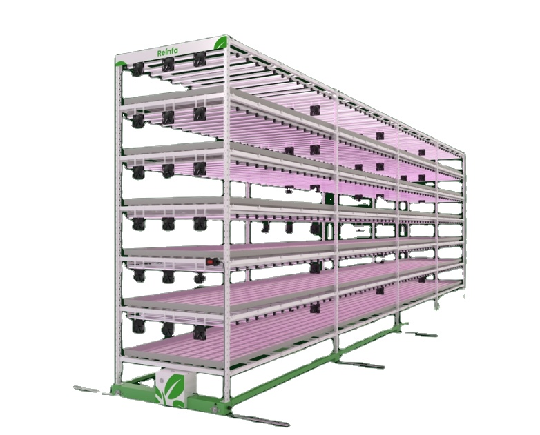 Automated Tidal Flow Hydroponic System with Adjustable Shelves