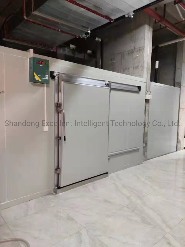 Kitchen Equipment Cold Room Storage, Modular Cooler for Fish