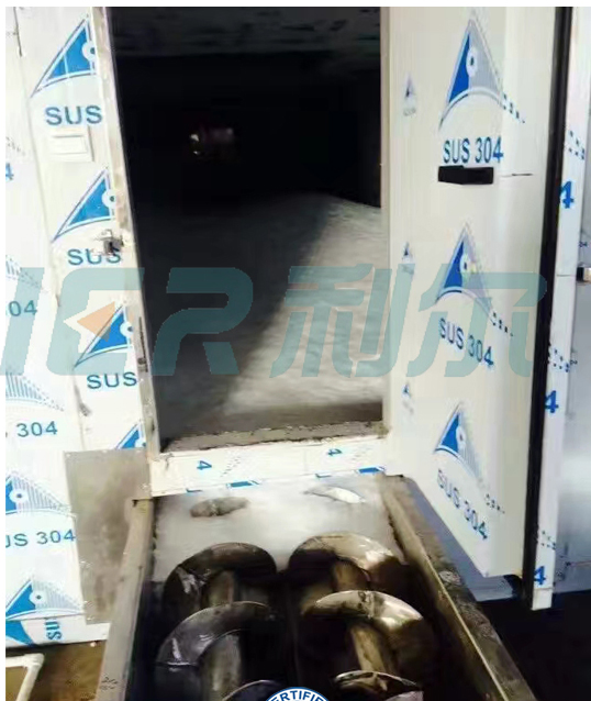 Advanced 30-Ton Flake Ice Storage and Rake System