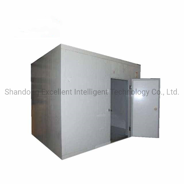 Kitchen Equipment Cold Room Storage, Modular Cooler for Fish