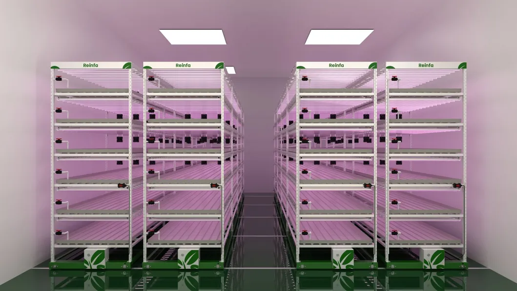 UniFarm S vs L Comparison