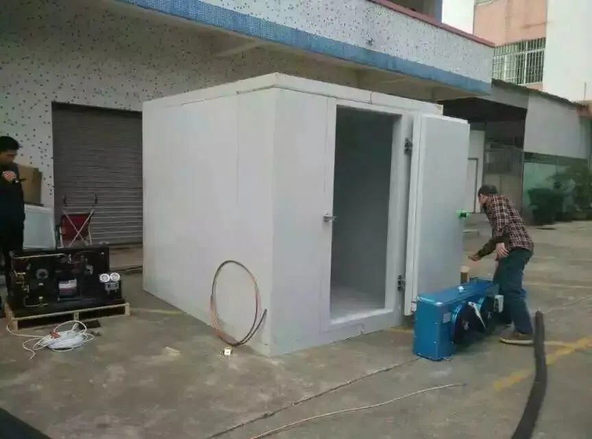 Cold Room Meat Storage