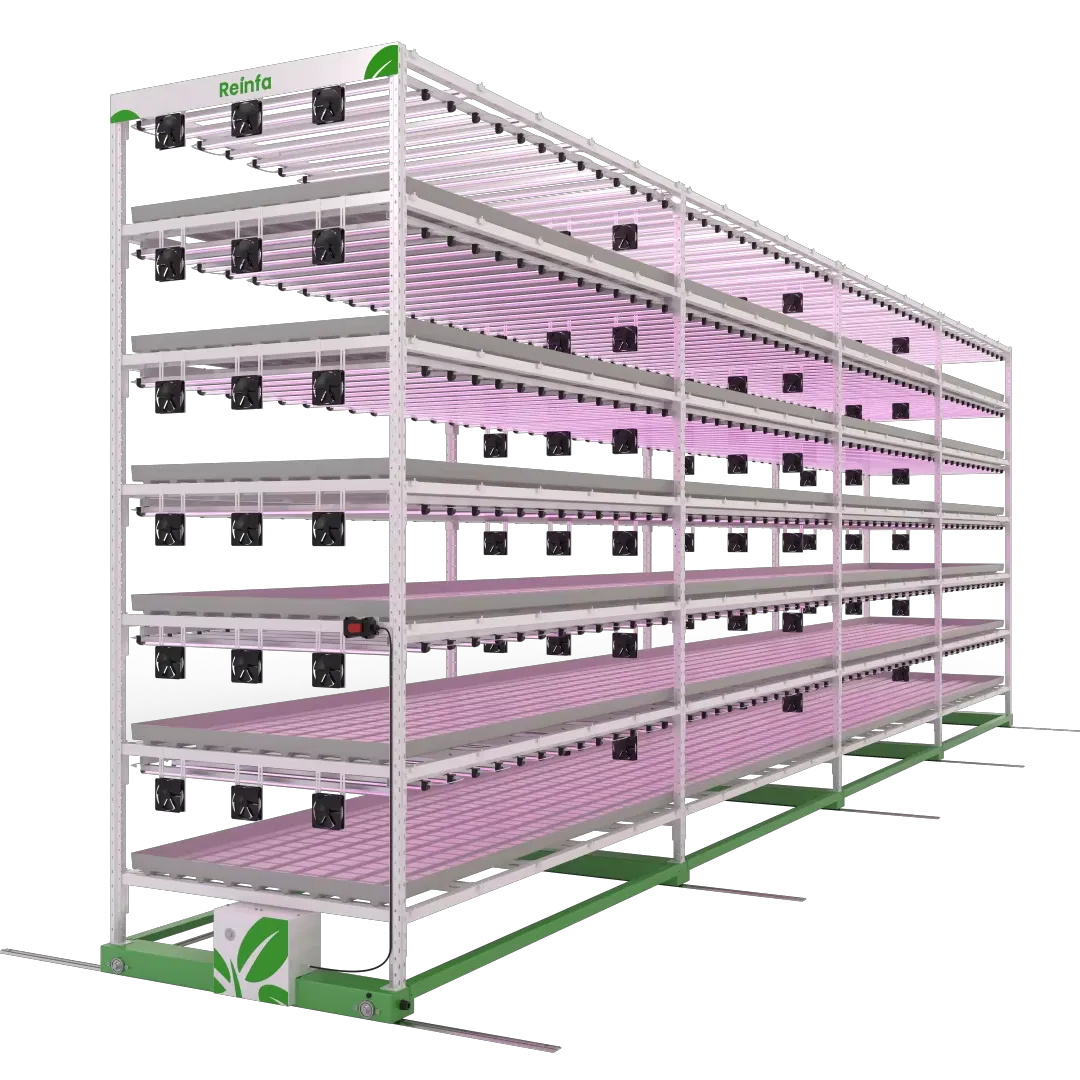 Reinfa Vertical Tidal Irrigation System-Modular Shelves for Vegetables