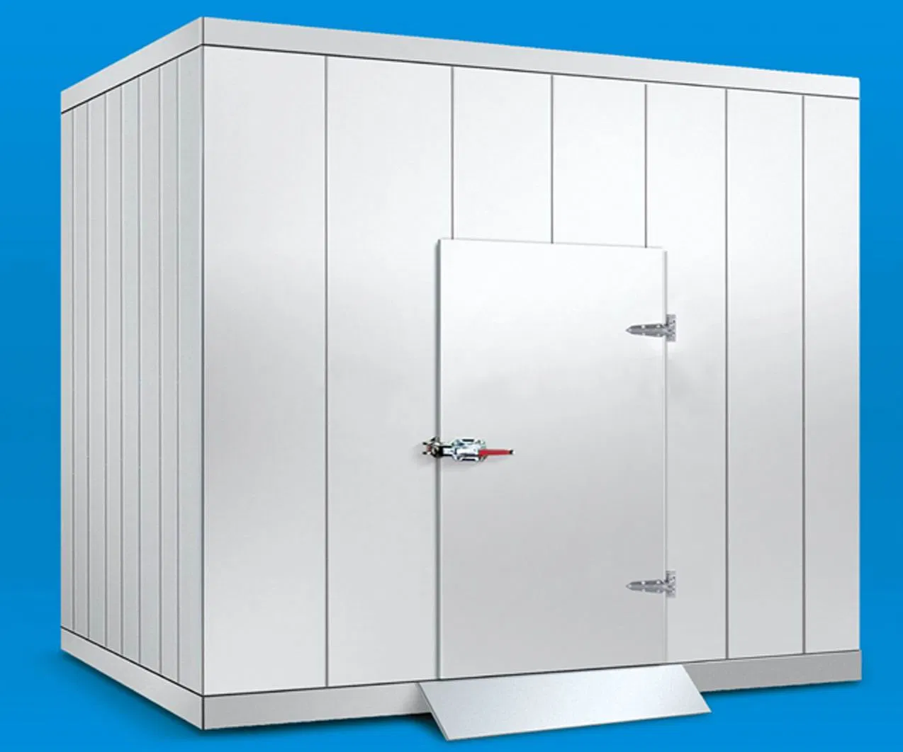 Ce Approved Commercial Cold Room/Storage for Meat, Fruit and Vegetable