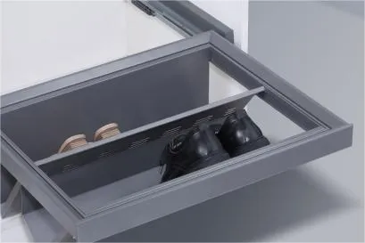Pull out Wardrobe Shoe Rack