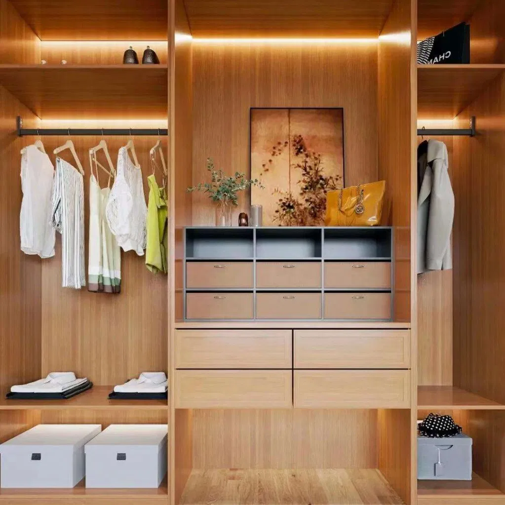 Attractive Custom Closet Systems with Shelves for Residential Homes
