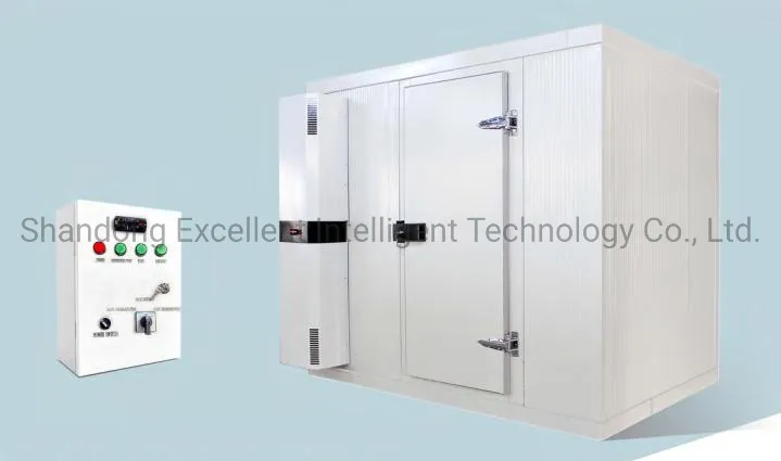 Commercial Refrigerator Unit