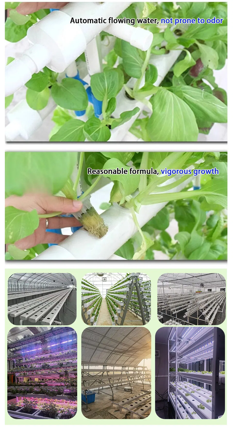 Hydroponic NFT System Flow
