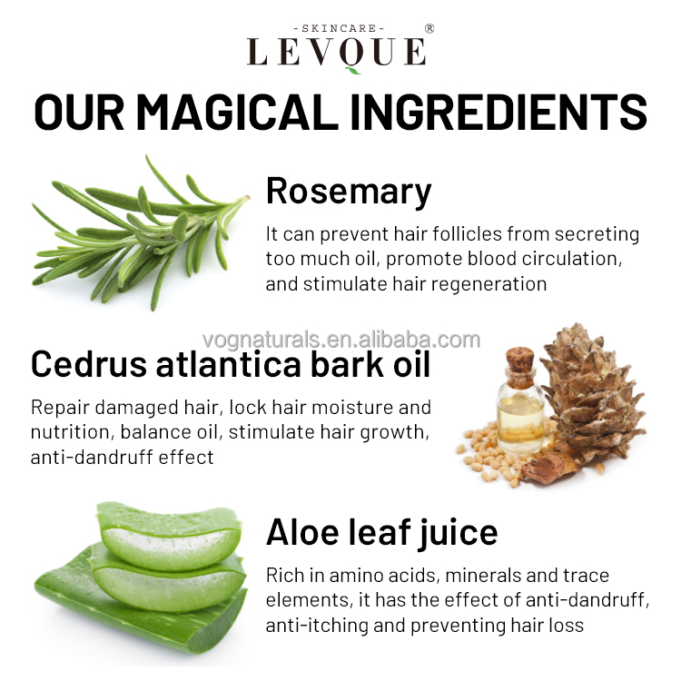 Private Label OEM Anti Hair Loss Rosemary Shampoo Conditioner, Nourishing Hair Growth Hair Care Set with Rosemary Oil