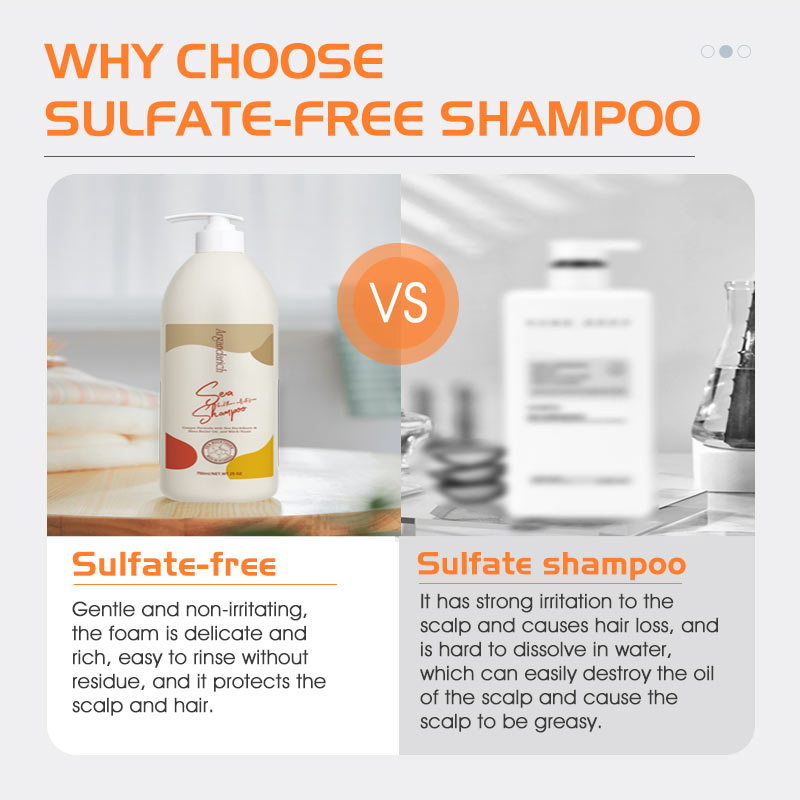 750ml Hair Salon Care Products Sulfate Free Restoring&Moisturizing Hair Shampoo