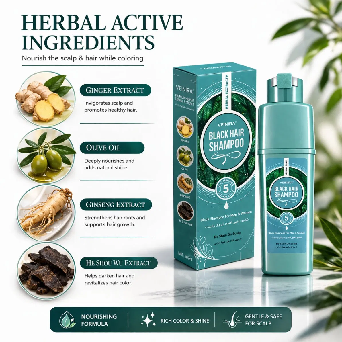 Veinira Natural Herbal Extracts Dye Shampoo Hair Color Shampoo Hair Care with Ginger Black Brown Factory Supply Hair Tint