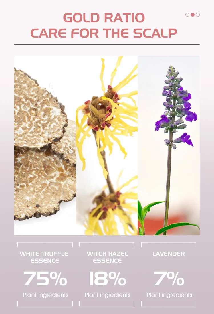 Purbrandy Shampoo 3