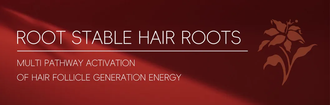 Ginger Anti Hair Loss Hair Growth Shampoo
