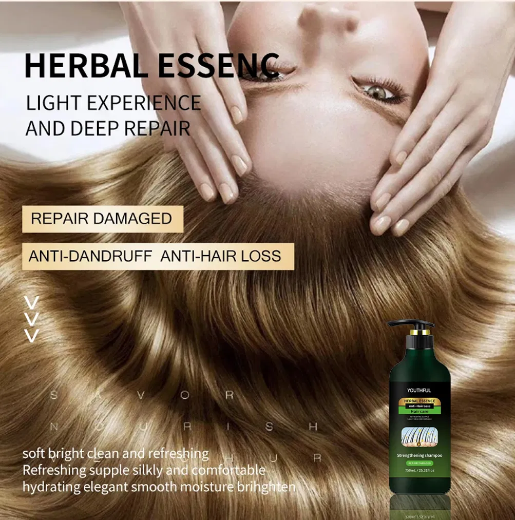 Sulfate Free for Strengthen Weak Hair Shampoo Remove Dandruff and Relieve Itching