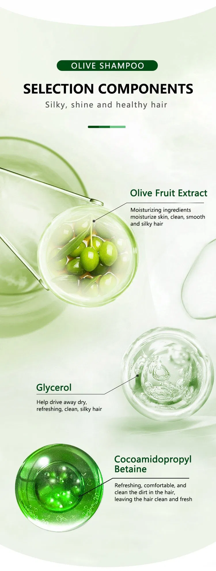 Private Label Organic Arrival Olive Fruit Extract Daily Cleaning Moisturizing Protective Treatment Olive Oil Shampoo