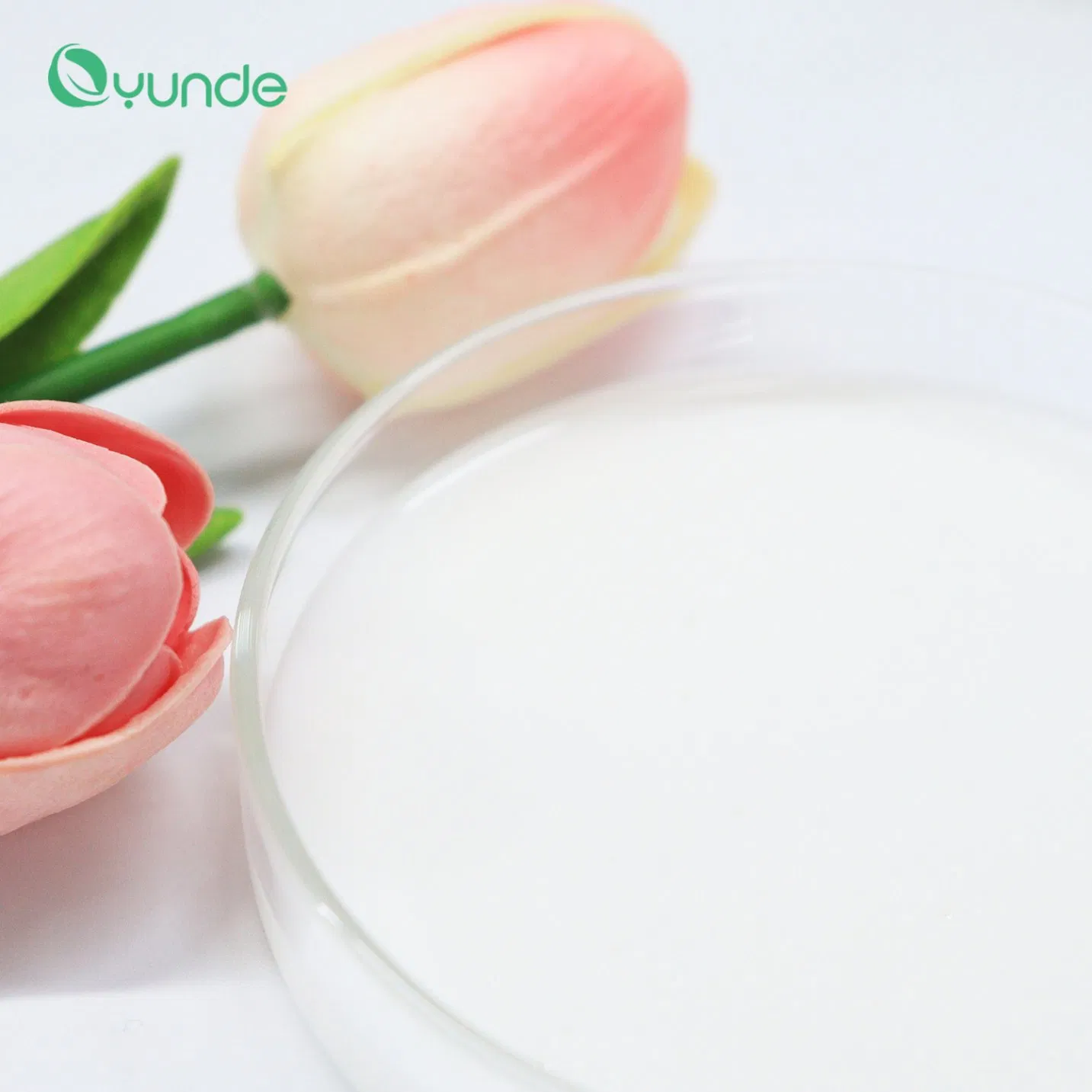 Perfume Scalp Care with Lightweight, Volumizing Anti-Dandruff Oyunde Shampoo