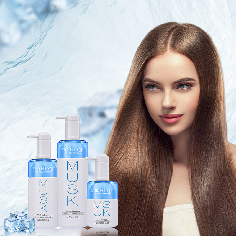 Mocheqi Sulfate Free Mild Organic Nourishing Moisturizing Anti-Dandruff Hair Shampoo for Salon Use Wholesale