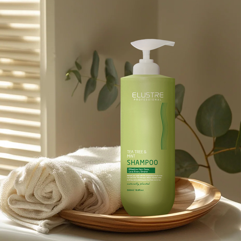Mint Tea Tree Anti-Dandruff Nourishing Shampoo for Salons Spas | Sulfate-Free 2-in-1 Cleanser | OEM Private Label Herbal Hair