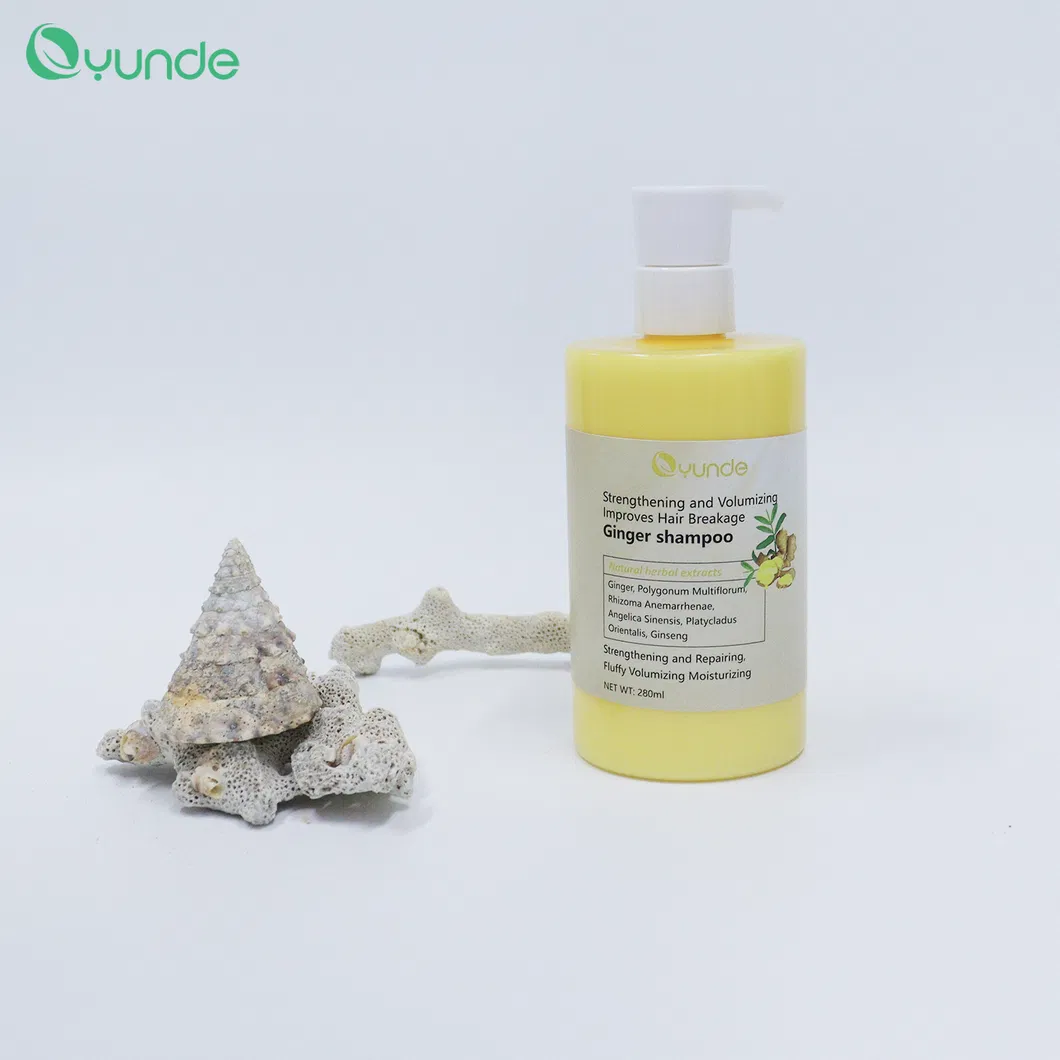 Ginger Shampoo Product View 4