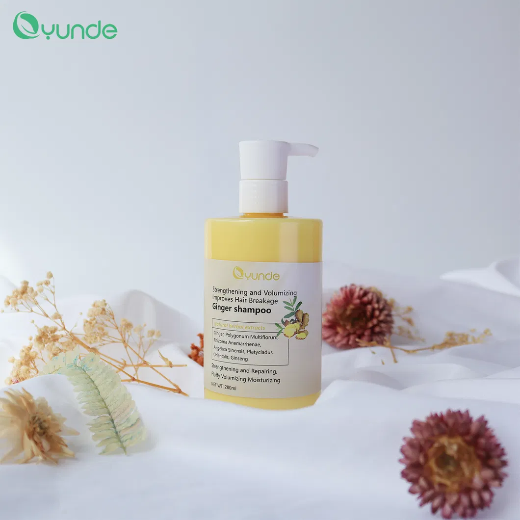 Ginger Shampoo Product View 1