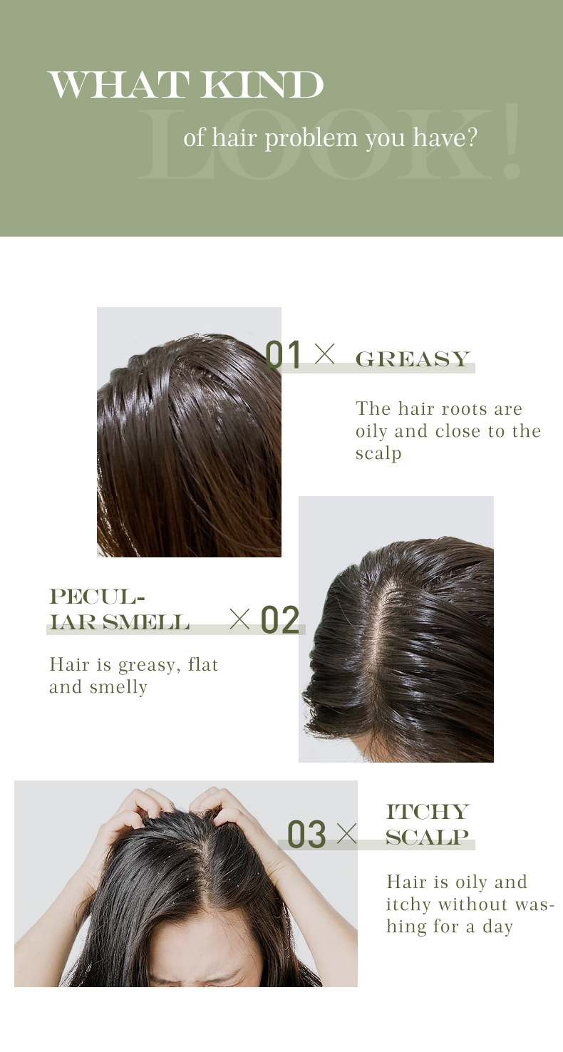 OEM/ODM Ginger Organic Oil Shampoo Private Label Anti-Hair Loss Formula for Damaged Hair Home Hair Care Moisturizing Repair