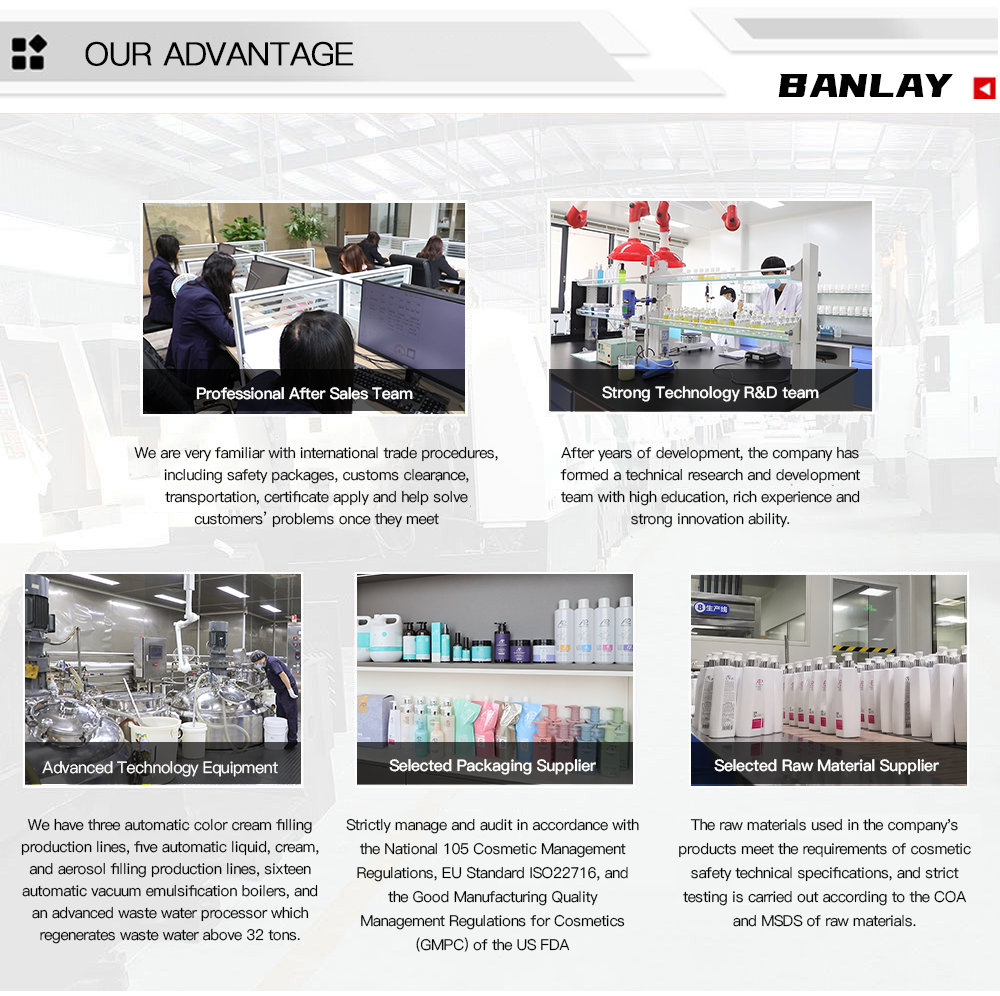 Company Showcase 2