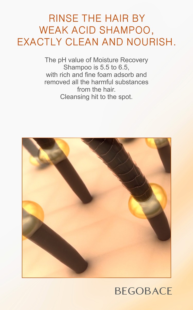 Product Description 8