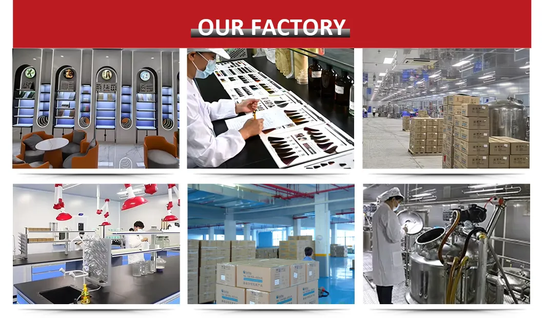 Factory View
