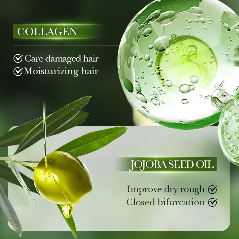 Private Label Shampoo Natural Organic Hair Care Oil Control Collagen Anti-dandruff Shampoo