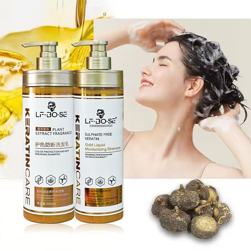 Premium Organic Argan Oil Shampoo and Conditioner Set for Hair Repair