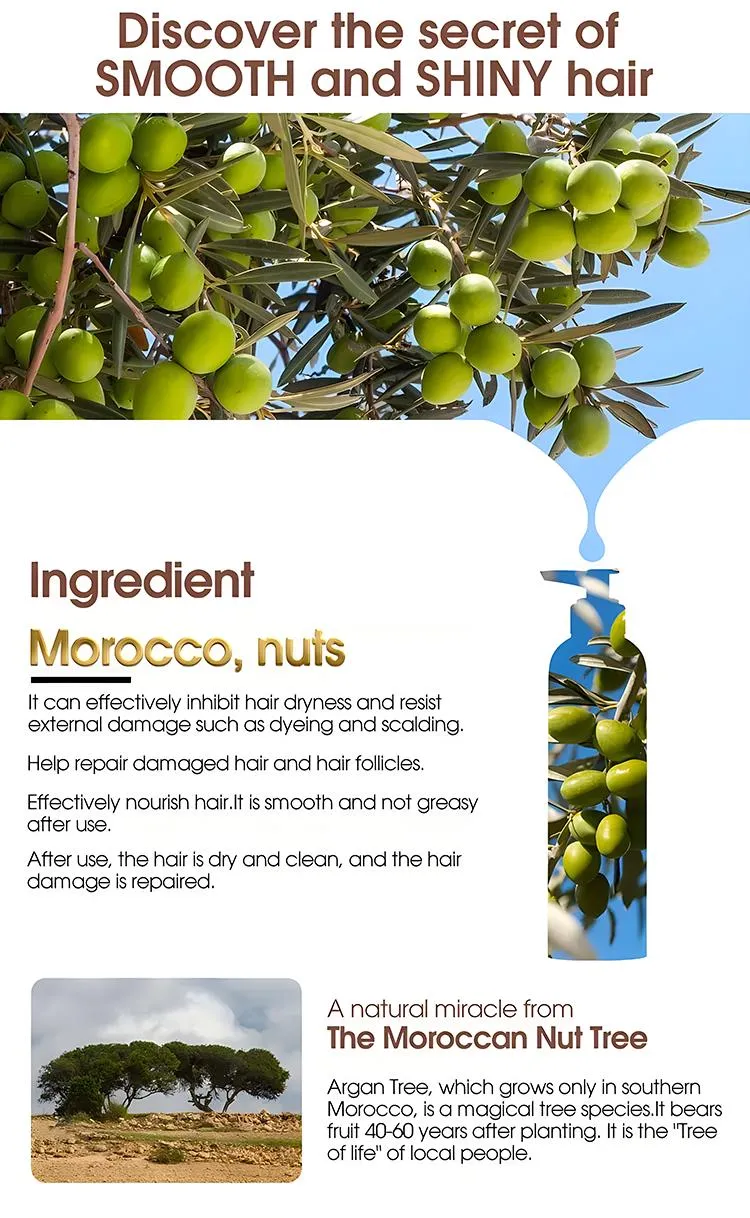 Cruelty-Free Sulfate Free Natural Private Label Morocco Hair Care Nourish Argan Seed Oil Shampoo